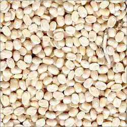 Urad Dhuli - High Nutritional Value, Rich Protein Source, Acclaimed for Taste and Quality