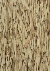 Art Strands-Natural Fundermax Exterior Panels