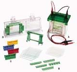 Mini-logic 3 Electrophoresis Cell