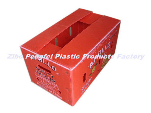  मुद्रित पीपी प्लास्टिक खोखले शीट पैकिंग बॉक्स 