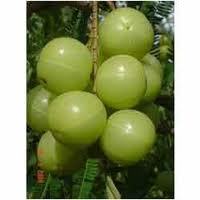 Amla Juice