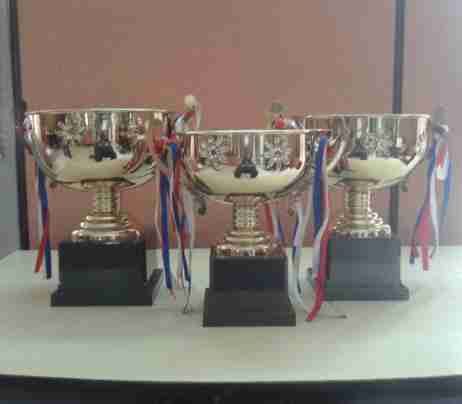 Trophy Cups