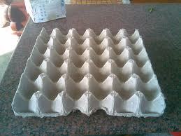 Egg Trays - High-Quality Raw Material, Various Designs and Sizes, Colorful Options