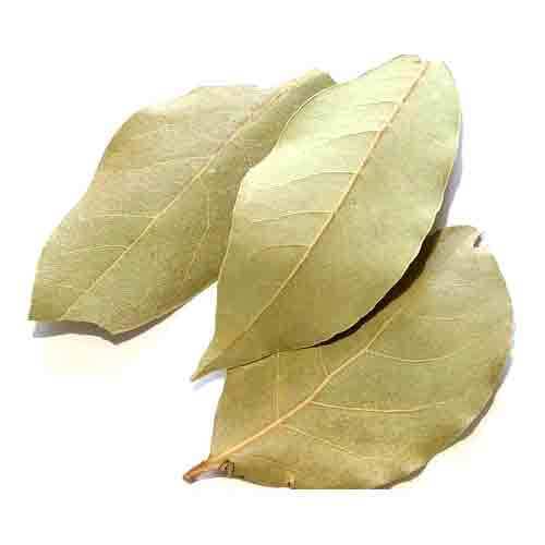 Bay Leaf