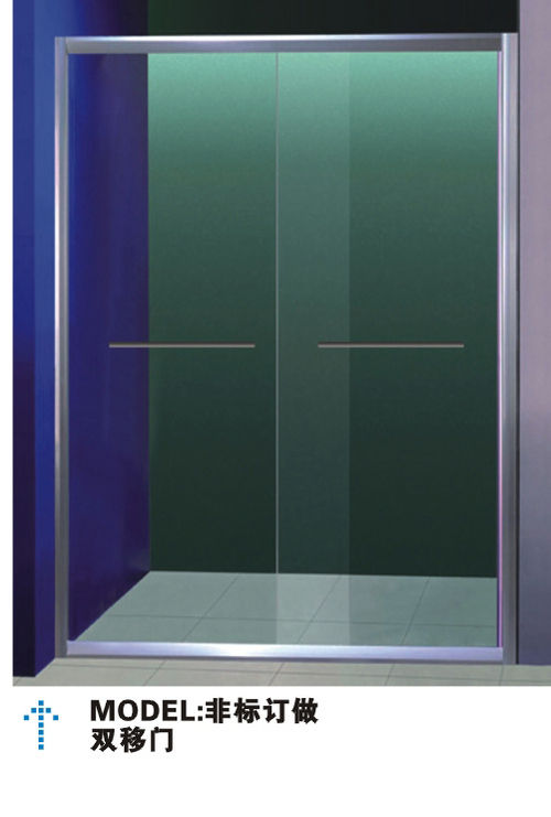 Shower Door