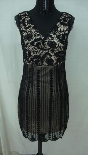 Mesh Dress (Ads-3303)