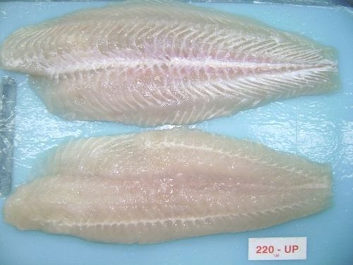 Pangasius Fillet