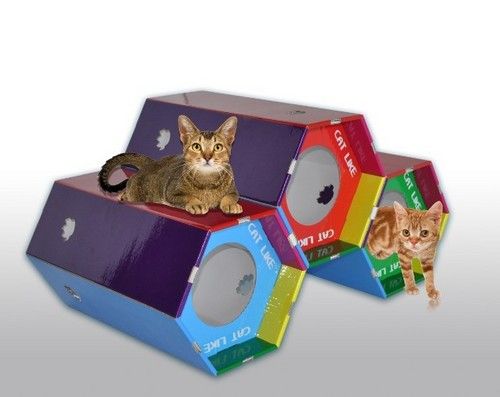 Pet Products Printing Services