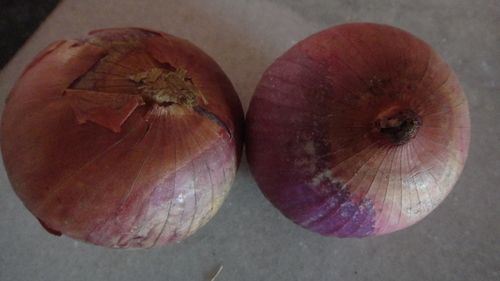 Red Onion