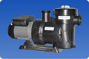 Dual Speed Energy Saving Pump