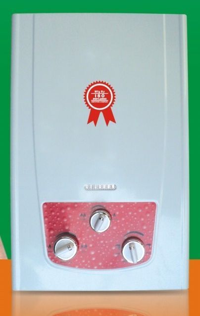 Instant Gas Water Heater (Flue Type, 6l~20l)