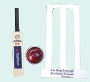 Mini Promotional Cricket Set