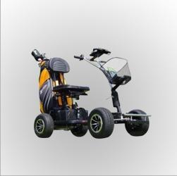 Single Seat Golf Cart