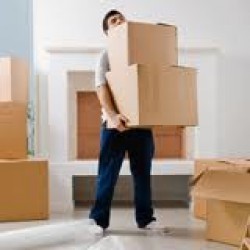 Local Shifting Service By OUTH INDIAN PACKERS & MOVERS