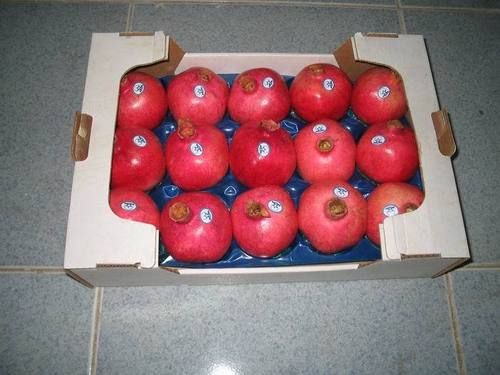 Pp Tray For Pomegrante