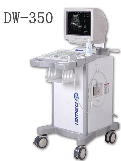 Full-Digital Ultrasonic Diagnostic Apparatus Dw350