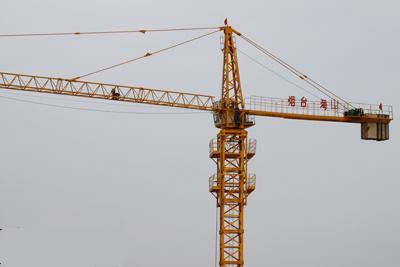 Tower Crane Qtz50