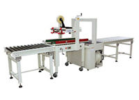 Combination of Automatic Weighing Packaging Machine