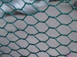 Galvanized And PVC Coated Hexagonal Wire Mesh