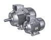 Low Voltage Motors