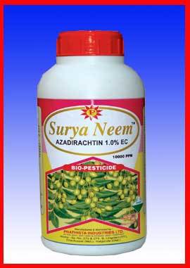 Surya Neem