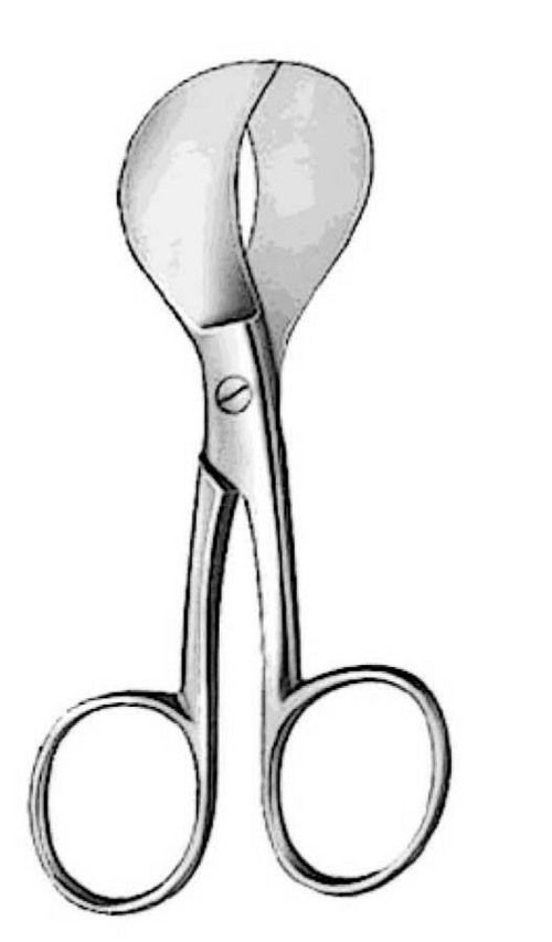 Umbilical Scissors