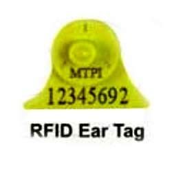  RFID ईयर टैग 