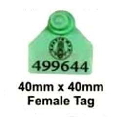 Sheep And Goat Ear Female Tag