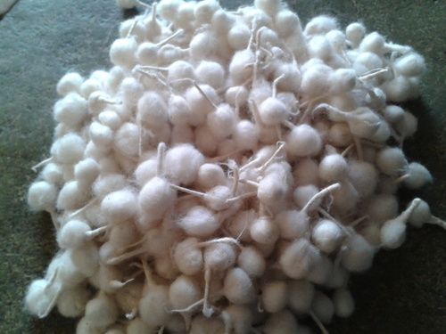 Cotton Wicks - Premium Quality Cotton | Ideal for Spiritual Practices, Deli Pooja Usage