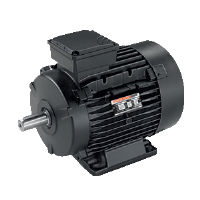 Energy Efficient Electric Motor (Havells)