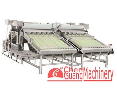 Shrimp Grading Machine