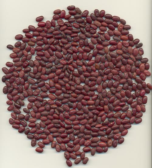 Red Kidney Beans