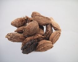 Black Cardamom