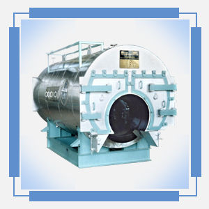 Solid Fuel Fired Steam Boiler