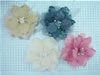 Hair Clips 32576b