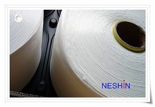 Nylon Fdy Yarn