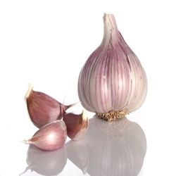 Fresh Garlic