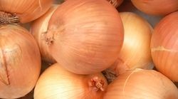 Fresh Onions