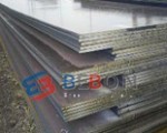 RINA Grade D Steel Plates