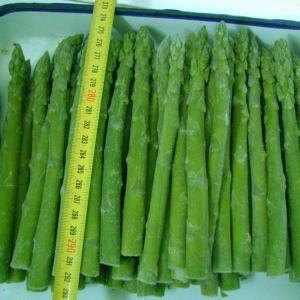 Frozen Asparagus By Qingdao Agri-King Industrial Co.Ltd.