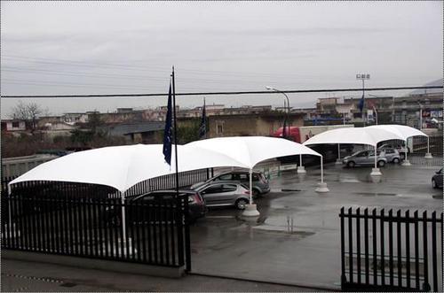 Elegant Car Parking Tent (Cicogna)