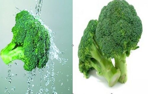 10%, 20:1, 50:1 Broccoli Plant Extract