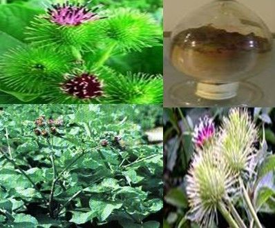 10% - 20% Gardenoside Plant Extract