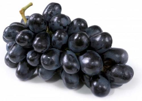 Black Grapes - Premium Quality, Fresh and Flavorful Black Grapes for Reliable Customers