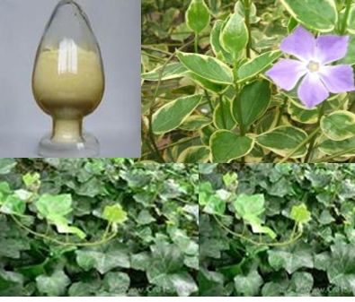 1-10% Ivy Stem Plant Extract