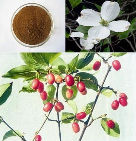 5i  1 10i  1 20i  1 Asiatic Cornelian Cherry Fruit Extract