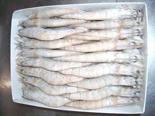 Vannamei Shrimps