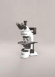 fluorescence microscopes