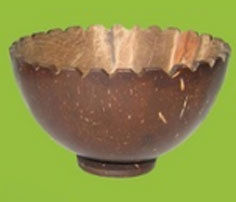 Coconut Shell Natural Bowl