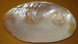 White Natural Pearl Platter